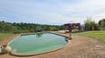 Toscana Immobiliare - Ferme avec piscine, 6 appartements, dépendances et 7 hectares de terrain avec vignoble, bois et oliveraie