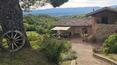 Toscana Immobiliare - Ville e casali in vendita in Umbria
