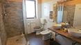 Toscana Immobiliare - Ferme avec piscine et terrain