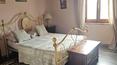 Toscana Immobiliare - Farmhouse with pool, 6 flats, outbuildings and 7 hectares of land with vineyard, woodland and olive grove
