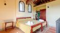 Toscana Immobiliare -