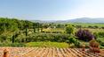 Toscana Immobiliare -