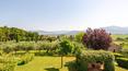 Toscana Immobiliare -