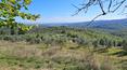 Toscana Immobiliare - Casale del 1600 con 21 ettari e vista panoramica in vendita in Toscana