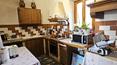 Toscana Immobiliare - Casa rural toscana con 2 anexos, 21 hectáreas de bosque y olivares, avenida de cipreses y vistas impresionantes en la provincia de Arezzo