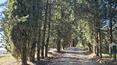 Toscana Immobiliare - Ferme du XVIIe siècle avec 21 hectares et vue panoramique à vendre en Toscane