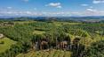 Toscana Immobiliare -