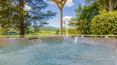 Toscana Immobiliare -