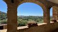 Toscana Immobiliare -