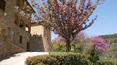 Toscana Immobiliare -