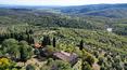 Toscana Immobiliare - Villas and farmhouses for sale in Tuscany