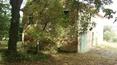 Toscana Immobiliare -