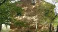 Toscana Immobiliare -