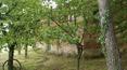 Toscana Immobiliare -