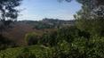 Toscana Immobiliare -