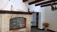 Toscana Immobiliare -