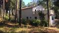 Toscana Immobiliare -
