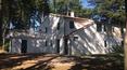 Toscana Immobiliare -