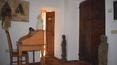 Toscana Immobiliare -