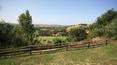Toscana Immobiliare -
