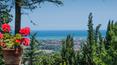 Toscana Immobiliare -