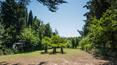 Toscana Immobiliare -