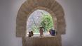 Toscana Immobiliare -