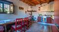 Toscana Immobiliare -