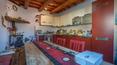 Toscana Immobiliare -