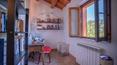 Toscana Immobiliare -