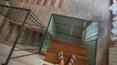 Toscana Immobiliare -