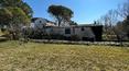 Toscana Immobiliare -
