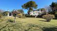 Toscana Immobiliare -