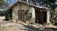 Toscana Immobiliare -
