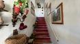 Toscana Immobiliare -