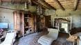Toscana Immobiliare -