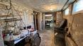 Toscana Immobiliare -