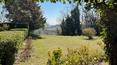 Toscana Immobiliare -
