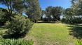Toscana Immobiliare -