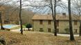 Toscana Immobiliare -