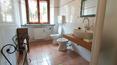 Toscana Immobiliare -