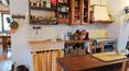 Toscana Immobiliare -