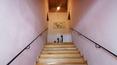Toscana Immobiliare -