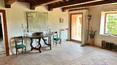 Toscana Immobiliare -