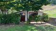 Toscana Immobiliare -