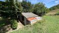 Toscana Immobiliare -