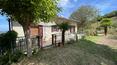 Toscana Immobiliare -