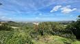 Toscana Immobiliare -