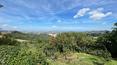 Toscana Immobiliare - 