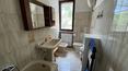 Toscana Immobiliare -